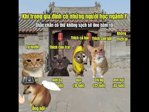 Khi gia đình bạn có những người học ngành Y #cat #meme