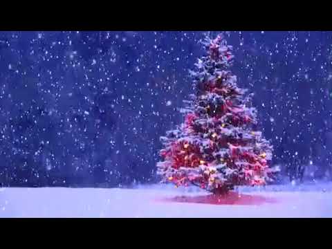 Ce bucurie ar fi - Alexandru Chiriac & Mihai Urzicana