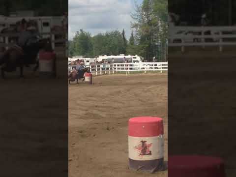 Royal Cash Bug - St-Gabriel-De-Brandon 2015