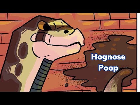 Snake Scat