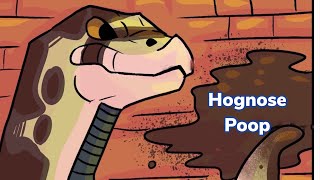 What Does Hognose Poop Look Like