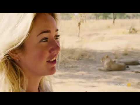 Big Cat Country   Strength in Sisterhood Ep 2