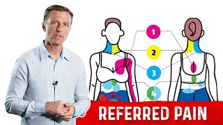 Most Pain is Referred Pain – Explained By Dr. Berg