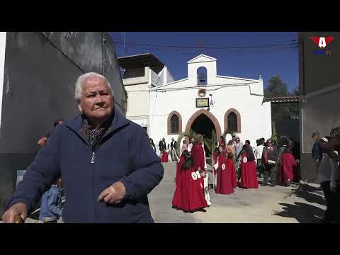 Domingo de Ramos - Alko TV