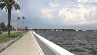 preview picture of video 'MLS T2522567 - 910 South Newport Ave, Tampa, FL'