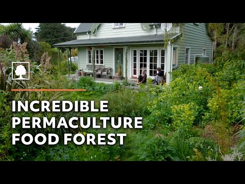 , title : 'Amazing 23-Year-Old Permaculture Food Forest - An Invitation for Wildness'