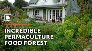 Amazing 23-Year-Old Permaculture Food Forest - An Invitation for Wildness