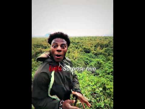 Speed thought that Gorilla is his Brother😂