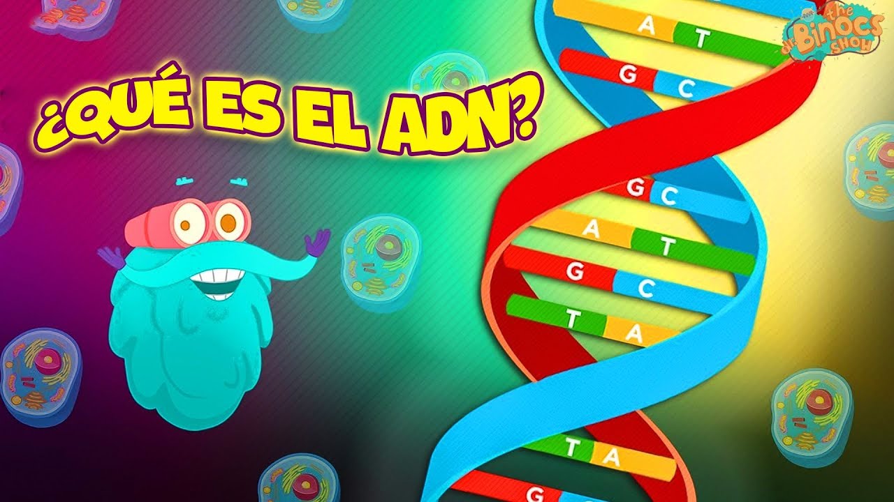 ¿Qué Es El ADN? | Vídeo Educativo útil | Educativos Para Niños 2024 | Ciencia Para Niños