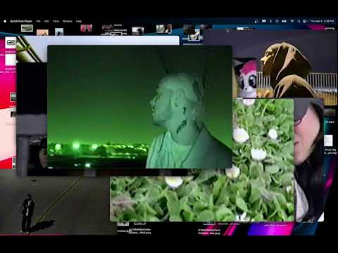 Scarlet House - Petals (Official Video)