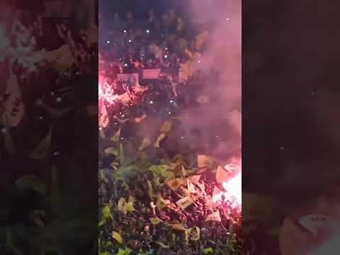 "LA BANDA DE PEÑAROL #barrabrava #hinchada #peñarol" Barra: Barra Amsterdam &bull; Club: Peñarol