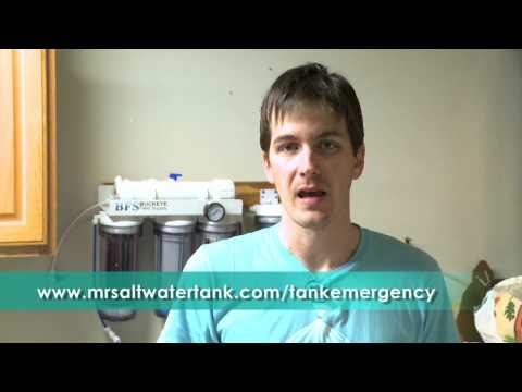 Disaster Planning For Your Saltwater Tank