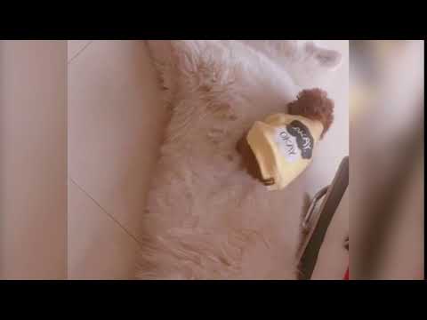 This is a funny video 2018-06