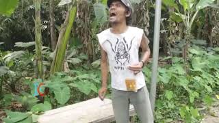 Download lagu Bang Marko pea mp3