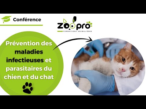 , title : 'Prévention des maladies infectieuses et parasitaires du chien et du chat'