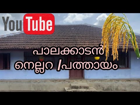 #palakkadannellara     |Palakkadan nellara/pathayam|  "Rice Bowl of Kerala palakkad" Ep:1