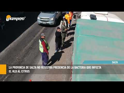 Salta: Acciones contra el HLB