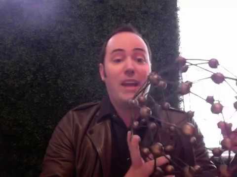 Studio Brand Collective video.