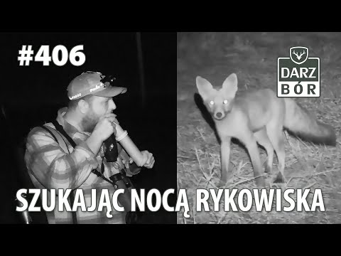 Darz Bór odc 406 Szukając noca rykowiska