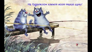 Места рыбалки в волго ахтубинской пойме