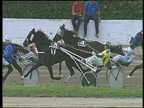 Trotto 13/05/2016 - 6° corsa