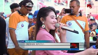 Download lagu MERAIH BINTANG  -  VIA VALLEN  -  NEW MONATA mp3