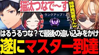 【APEX LEGENDS】ついに本物のはるうるつな？でマスター到達！！【渋谷ハル/うるか/あれる/UNLIMIT/ネオポルテ/CrazyRacoon/切り抜き】