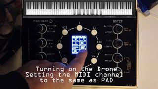 Video thumbnail for The NDLR - a PAD demo with easy to see and hear notes by Conductive Labs