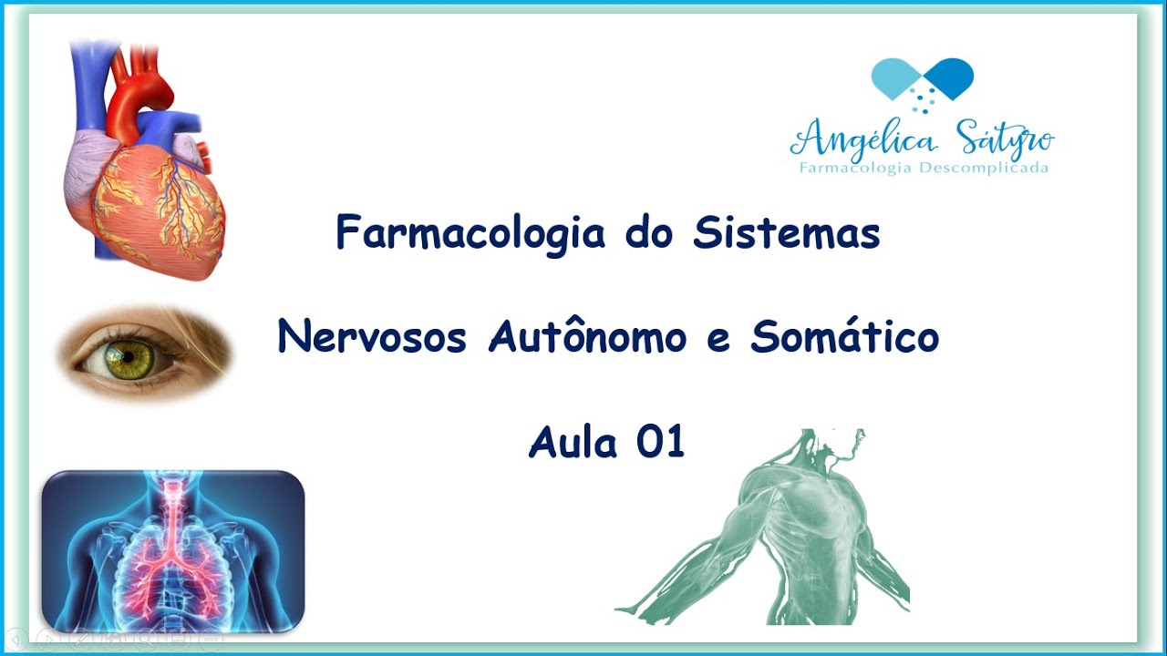 Farmacologia dos Sistemas Nervosos Autônomo e Somático: Aula 01- Anatomia e Fisiologia