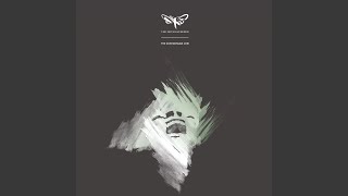 This Providence of Bones