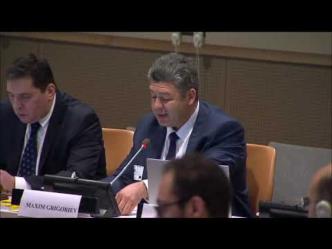 Briefing by Director of the Foundation for the Study of Democracy Mr. Maxim Grigoriev