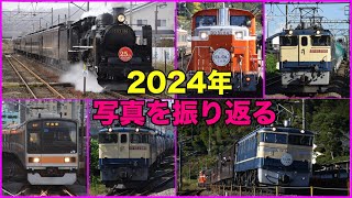 【大晦日】2024年に撮ってきた写真を振り返ります