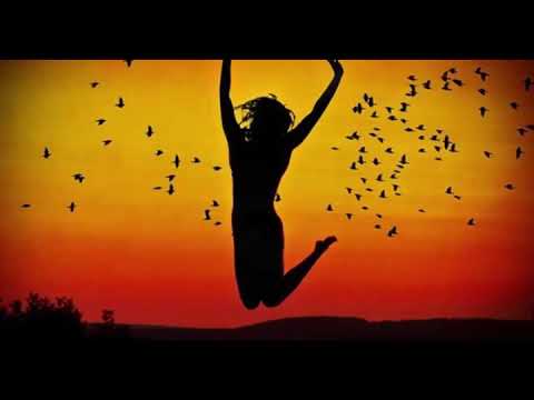 Małpa x Bisz x Paluch-Pokonując słabości (Baron Blend)