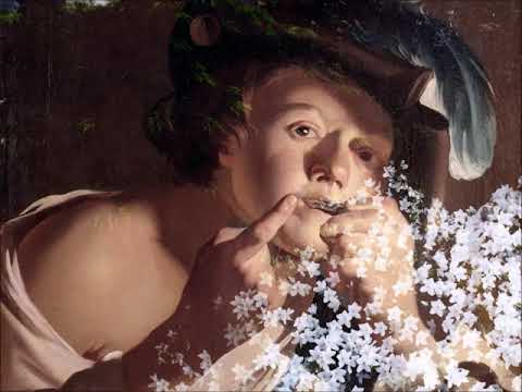 Albrechtsberger: Concerto in E major for Jew's Harp, Mandora Fritz Mayr & Dieter Kirsch