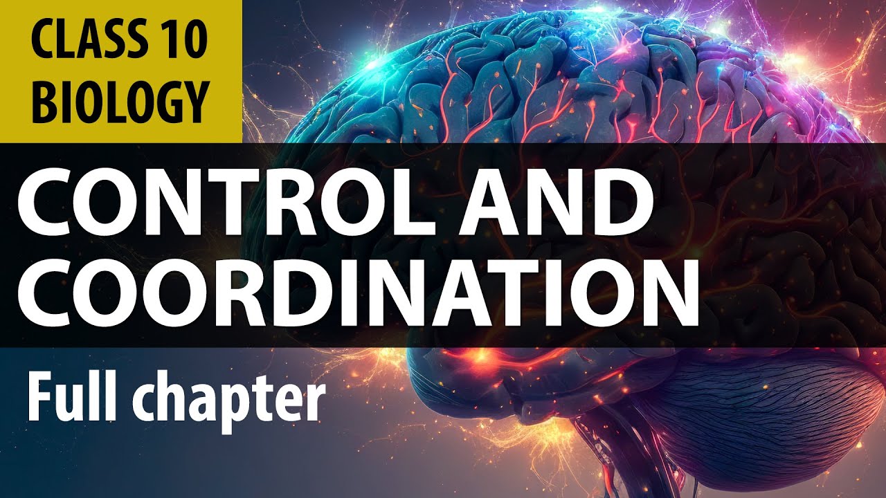#controlandcoordination full chapter | cbse Biology | NCERT class 10 science chapter 7