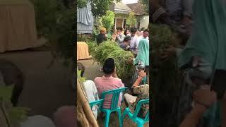 Download lagu Tukang Ngarit Songong #shorts mp3 Download lagu Tukang Ngarit Songong #shorts mp3