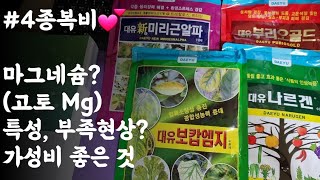 마그네슘(고토, Mg) 특성? 부족현상? 길항작용? 