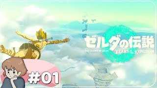 【ゼルダの伝説 ティアキン】楽しすぎて目的を忘れてしまう【ゼルダの伝説ティアーズオブザキングダム女性実況#1