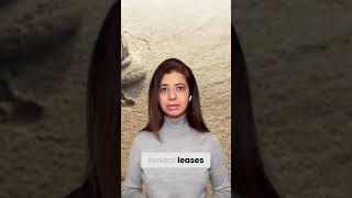 Download lagu Sovereign Wealth Funds: 3 Moves for 2045 Durability #shorts mp3