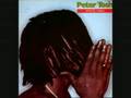 Peter Tosh - Can't You See