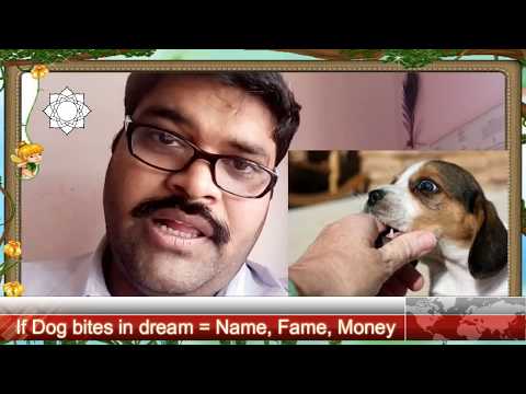 download lagu mp3 mp4 Dog Bite In Dream, download lagu Dog Bite In Dream gratis, unduh video klip Dog Bite In Dream