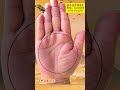 🤚 palmistry 手相