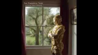 The Pineapple Thief - 04 Preparation For Meltdown