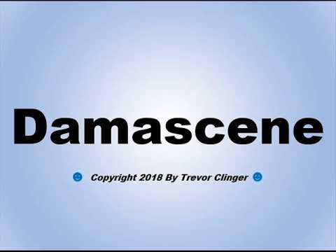 How To Pronounce Damascene