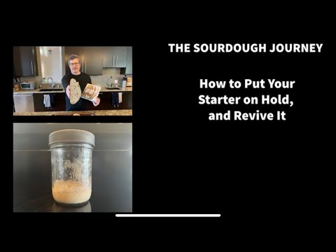 How to Put Your Sourdough Starter on HOLD, and Revive It