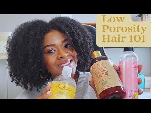 Best Products for Low Porosity Hair & Ingredients to...