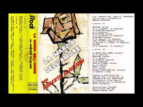 ROBERTO SCAGLIONI E RUGGERO PASSARINI - FULMINE valzer per fisa. Musica di R.Scaglioni e R.Passarini