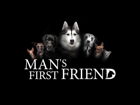 Man's First Friend