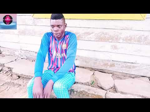 Mosquito madness Display