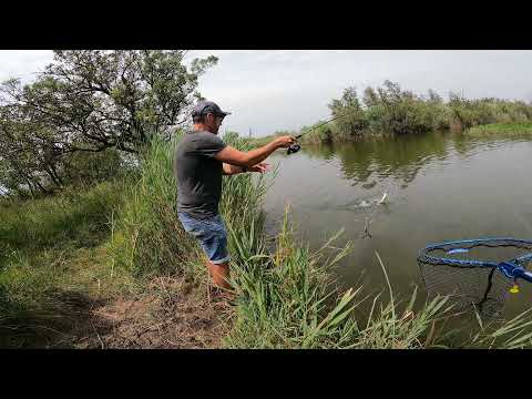 Session BlackBass avec un pro 🔥🎣